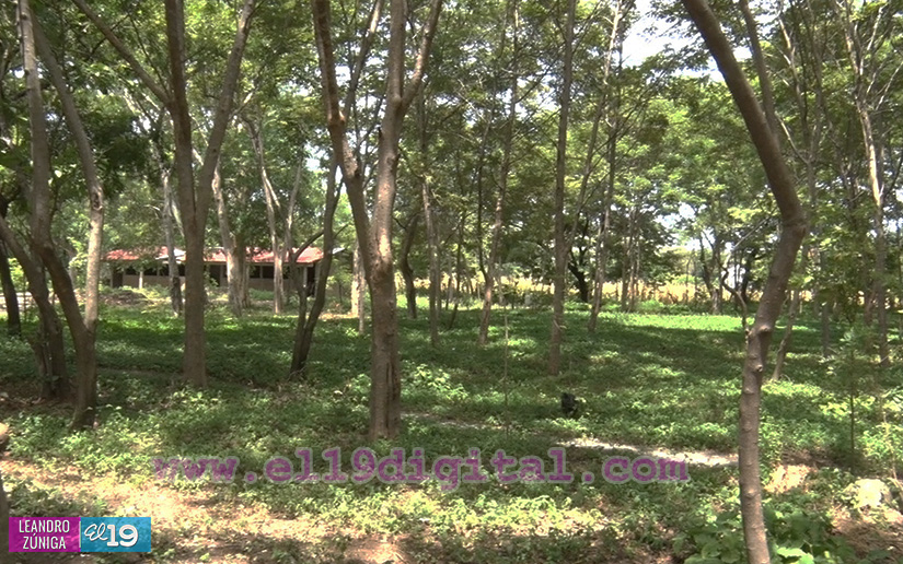 parque-adolescente